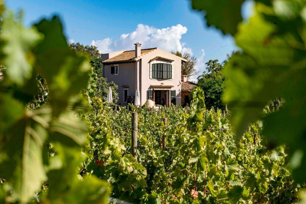 Dos Caballeros Winery & Vacation * Llubí
