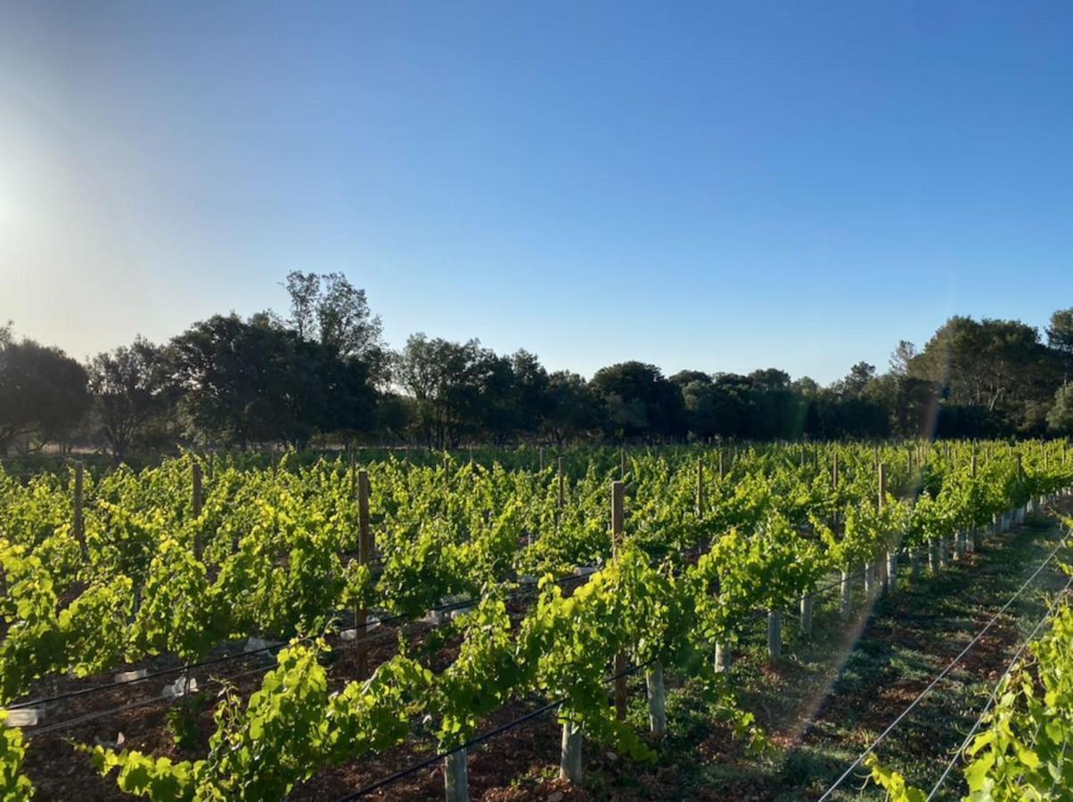Dos Caballeros Winery & Vacation Chalet Llubí