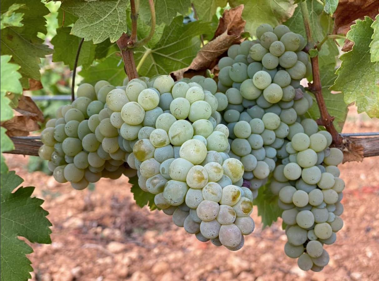 Chalet Dos Caballeros Winery & Vacation