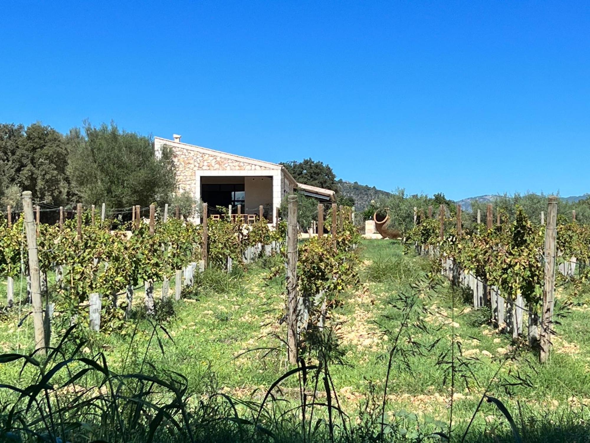 Dos Caballeros Winery & Vacation Alpstuga